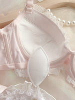 Steel ring push up bra set pure desire wind big cup girl underwear embroidery lace large size lingerie with panties set - Sabreeonline