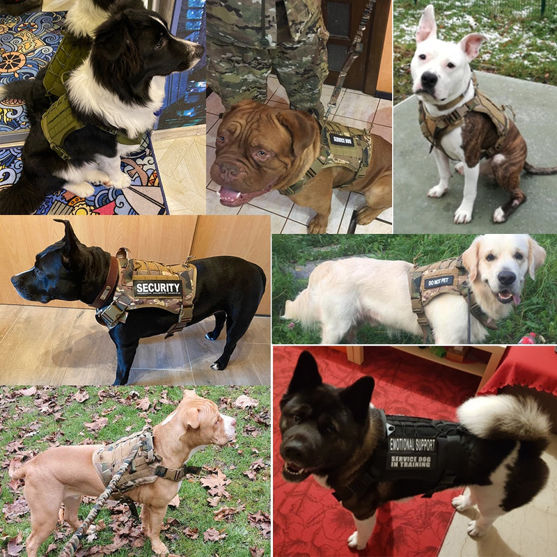 Tactical Dog Harnesses Pet Training Vest Dog Harness And Leash Set For Small Medium Big Dogs Walking Hunting Free Shipping Items - Sabreeonline