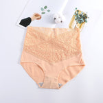 V-neck High Waist Underwear Women Cotton Lace Panties Hot Temptation Girls Belly Briefs - Sabreeonline