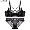 Ultra-thin hollow lace sexy bra and panty set large size C D E cup underwear transparent ladies bra - Sabreeonline