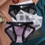 Charming Net Gauze Transparent Panties - Sabreeonline