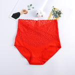 V-neck High Waist Underwear Women Cotton Lace Panties Hot Temptation Girls Belly Briefs - Sabreeonline