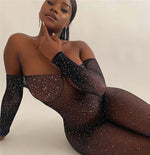 Sexy Sexy Stockings Mesh Bodysuit - Sabreeonline