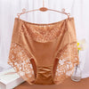 Plus Size Underwear for Women Sexy Thin Transparent Lace Modal Cotton Panties with High Waist Big Size Briefs of Large Sizes - Sabreeonline