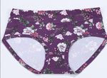 Mid Waist Panties High Elasticity Underwear - Sabreeonline