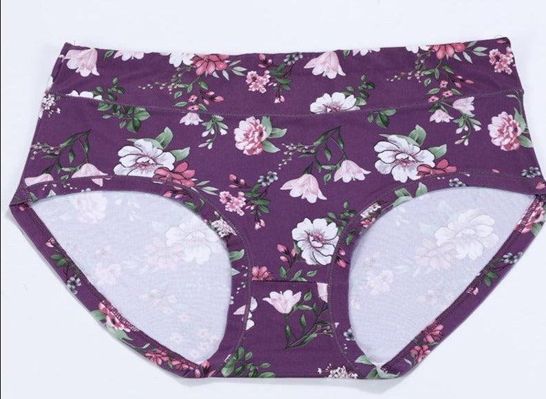 Mid Waist Panties High Elasticity Underwear - Sabreeonline