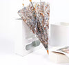 Luxury Parasol Umbrella Rod Rain - Sabreeonline