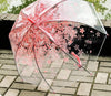 |14:1052#Pink|3256804746286726-Pink