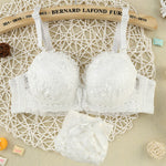 Lace Seamless Bralette Cotton Sweet Girl - Sabreeonline