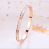 Four-leaf clover Roman alphabet animal micro-inlaid zircon titanium steel bracelet fashion jewelry for woman - Sabreeonline
