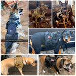 Tactical Dog Harnesses Pet Training Vest Dog Harness And Leash Set For Small Medium Big Dogs Walking Hunting Free Shipping Items - Sabreeonline