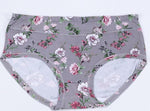 Mid Waist Panties High Elasticity Underwear - Sabreeonline