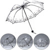 Transparent Fashionable Umbrella Luxurious Black Flow - Sabreeonline