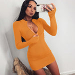 Collar Zipper Deep V-neck Solid Stretch Bodycon - Sabreeonline