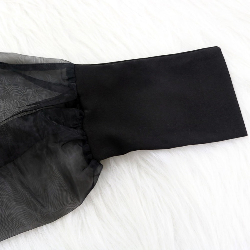 Mesh Puff Long Sleeve Bodycon Midi Dress Women High Neck Sexy Clubwear Split Pencil Black Slim Women Party Dress 2022 Robe - Sabreeonline