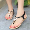 Sandals elastic t-strap bohemia beaded owl slipper flat sandals women summer shoes flip flop - Sabreeonline