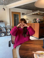 Women Sweate Pullover Female Knitting - Sabreeonline